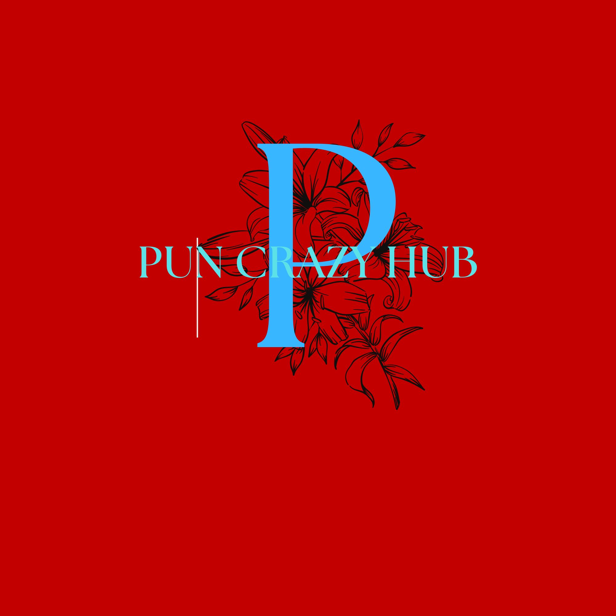 puncrazyhub.com